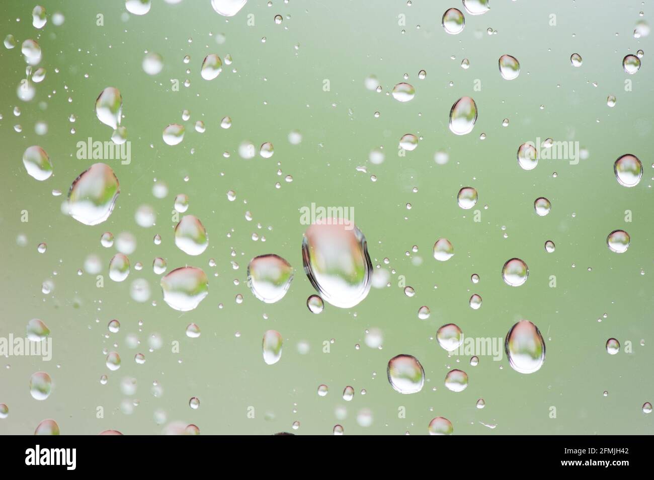 Regentropfen auf dem Fenster mit grünem Laubhintergrund. Stockfoto