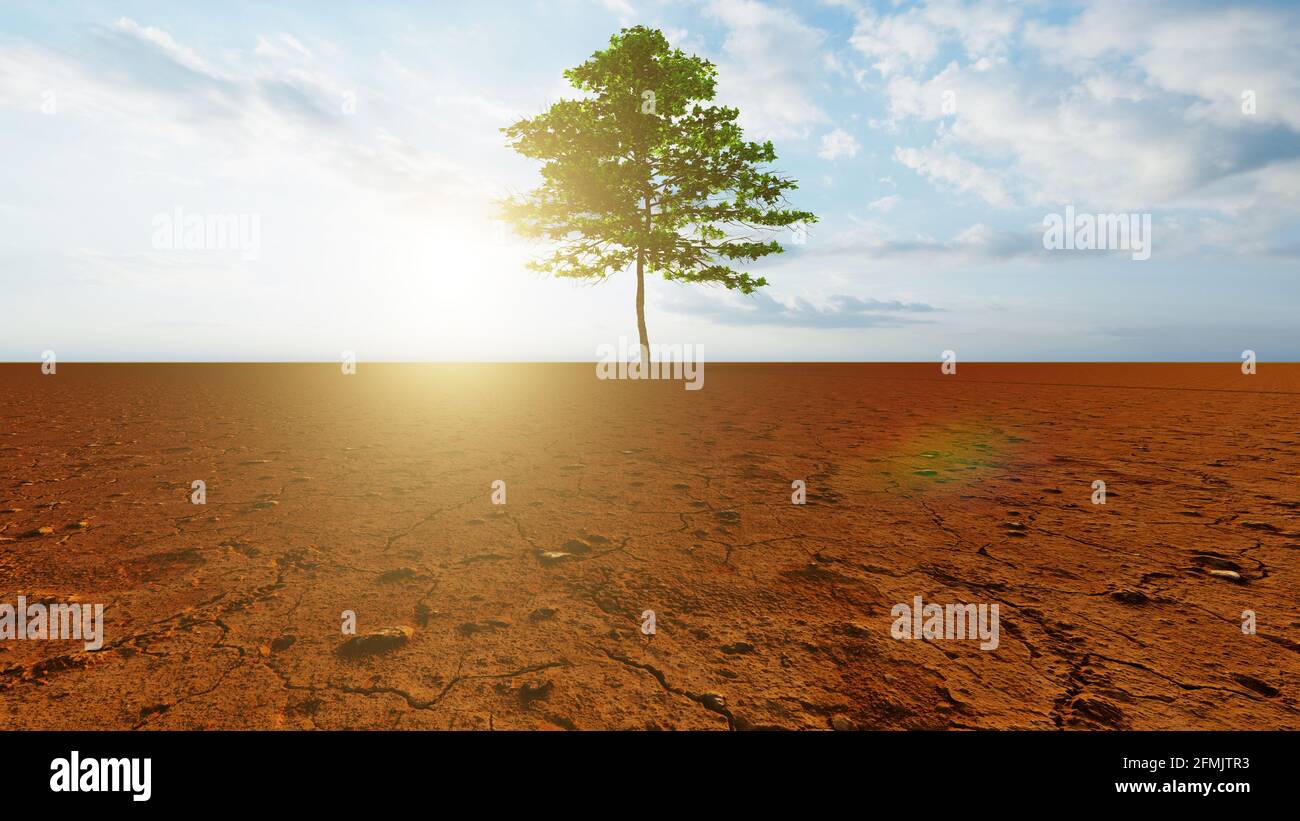 Konzept oder konzeptuelle Wüstenlandschaft mit einem grünen Baum als Metapher für globale Erwärmung und Klimawandel. Stockfoto
