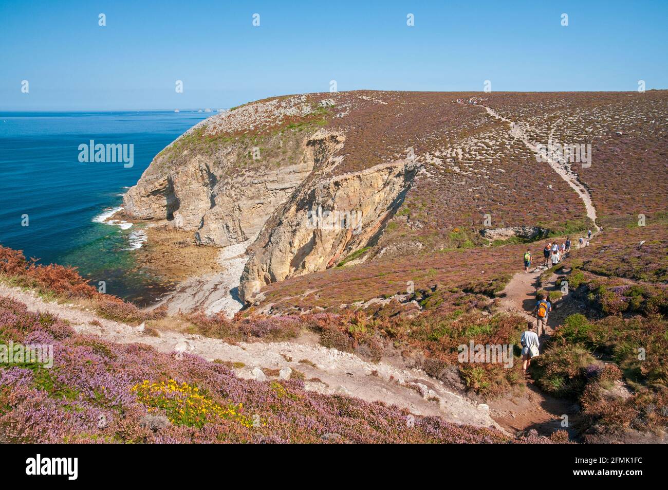 Wandern Sie auf dem Küstenweg mit Blick auf das Iroise-Meer und einen abgelegenen Strand, Cap de la Chevre, Armorique Regional National Park, Halbinsel Crozon, FI Stockfoto