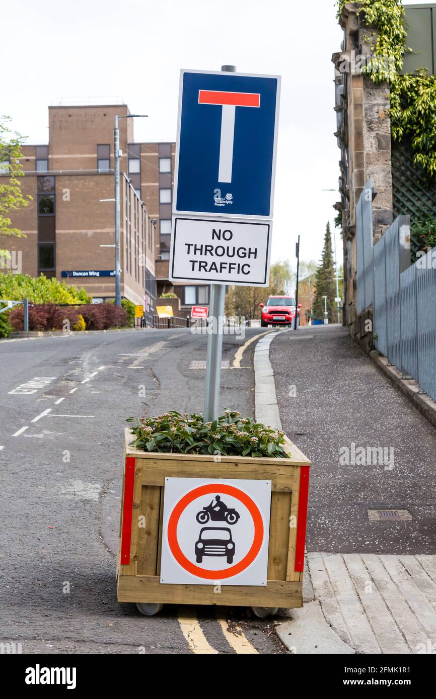 Temporäres No Through-Verkehrsschild in einem Pflanzkarton während der Bauarbeiten an der University of Strathclyde, Rottenrow, Glasgow, Schottland, Großbritannien Stockfoto