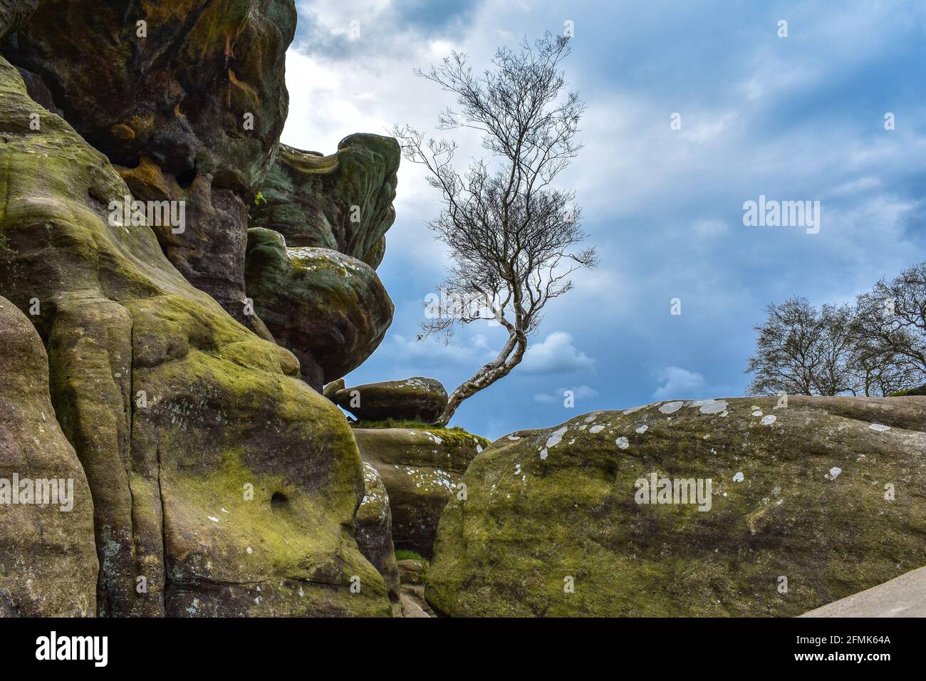 Felsformationen bei Brimham Rocks Stockfoto