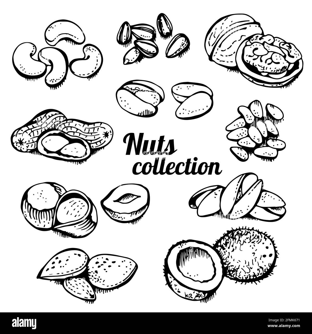 NUTS Set Vektor-Set, verschiedene Muttern handgezeichnete Abbildung, isoliert auf weißem Hintergrund Stock Vektor