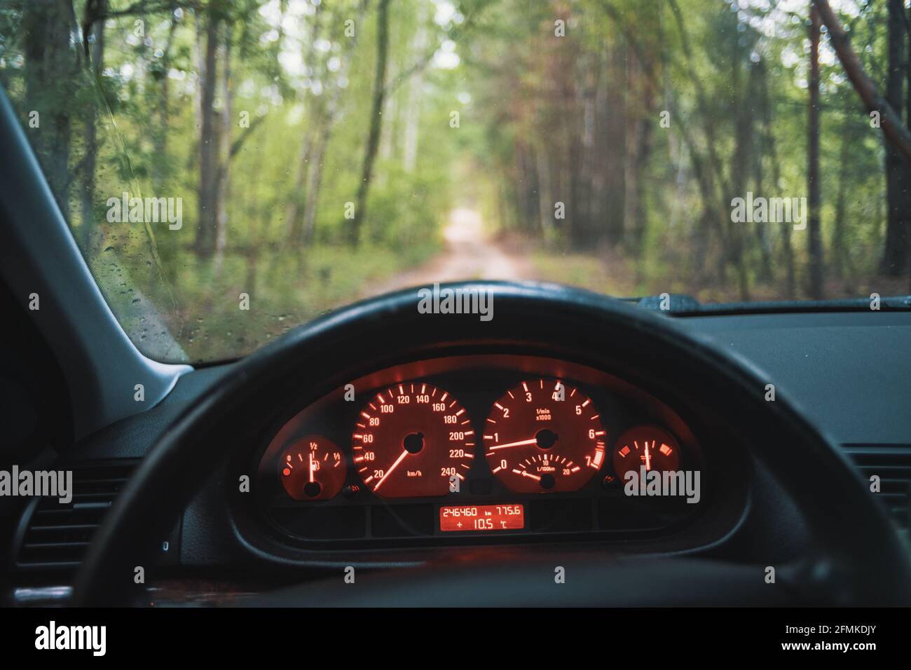 Roadtrip in den Wald. Fahrersicht mit klassischem Instrument-Cluster-Design Stockfoto