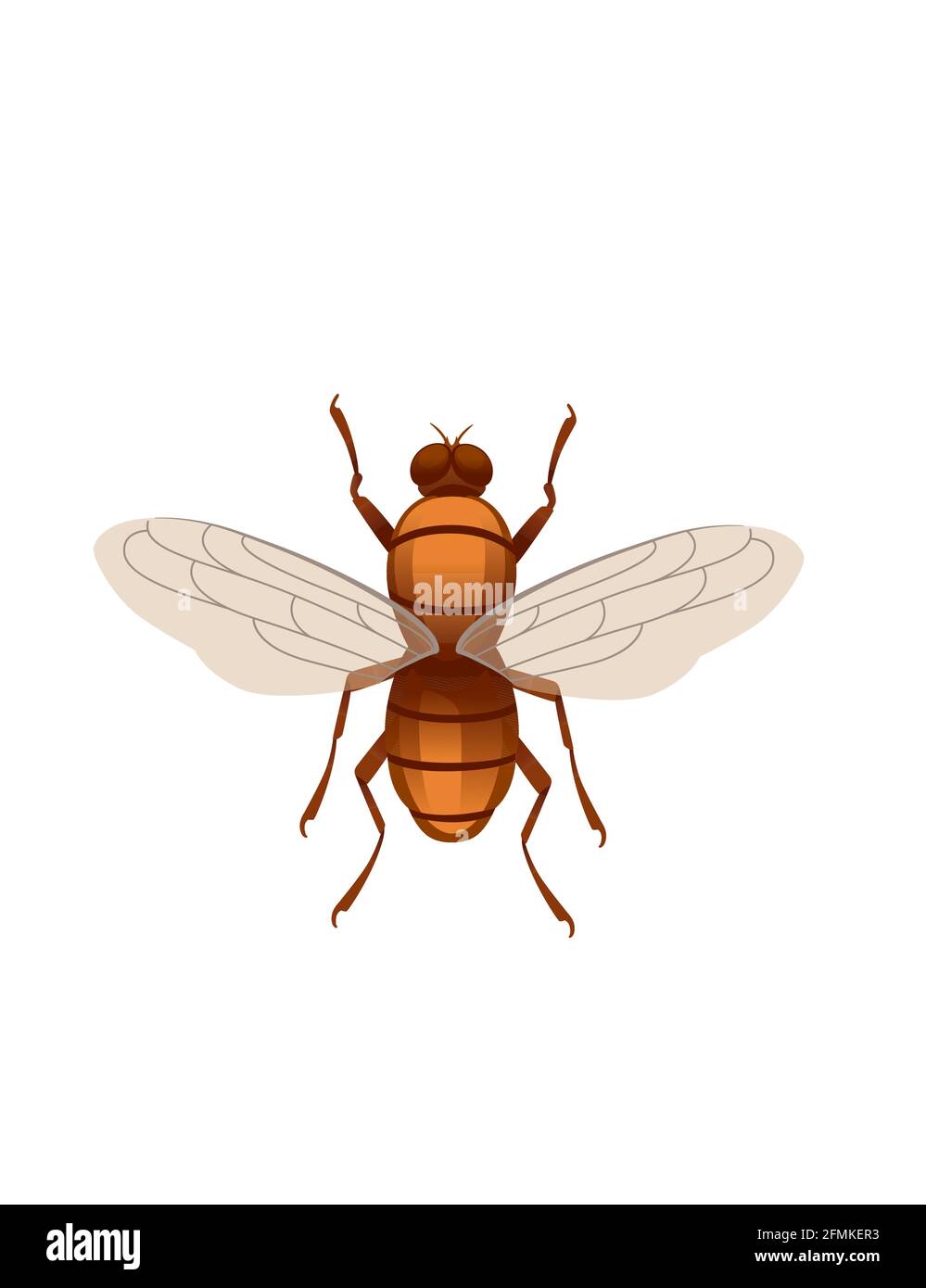 Midge fliegende Insekten Cartoon fliegen Design Vektor Illustration auf weiß Draufsicht im Hintergrund Stock Vektor