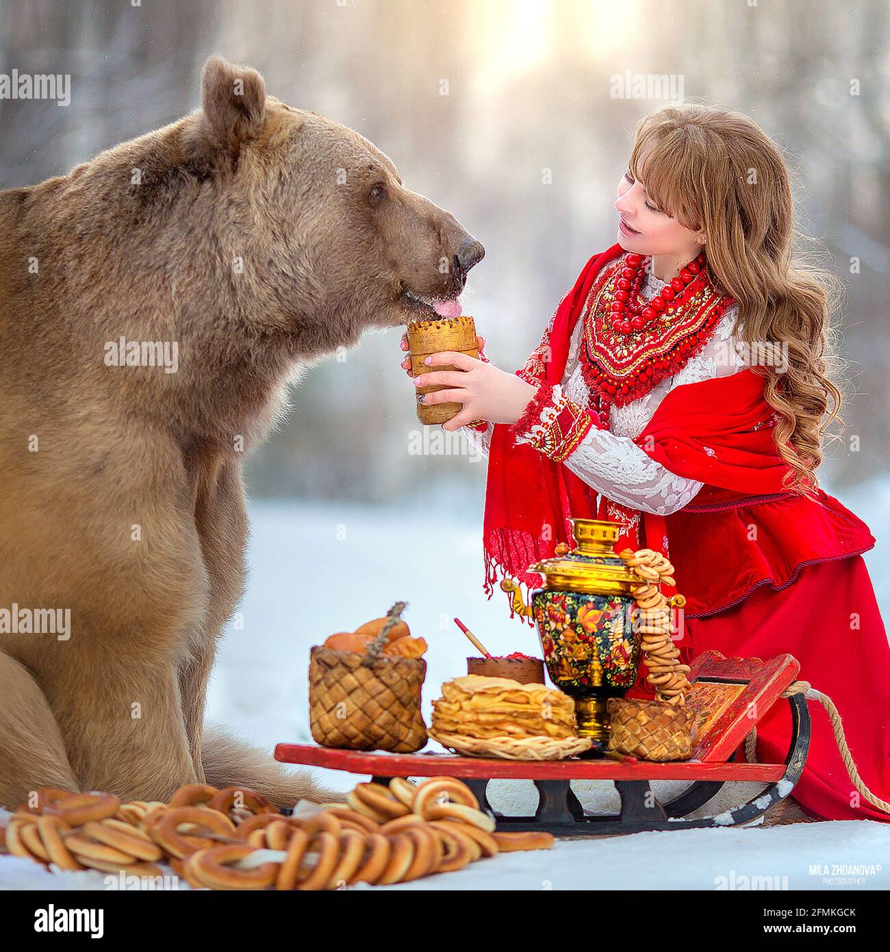 Stepan genießt einen leckeren Snack im Schnee. MOSKAU, RUSSLAND: TREFFEN SIE DEN wahren LEBENSBÄREN, der von seiner Mutter verlassen und von Menschen aufgezogen wurde, die jetzt ein blühendes c haben Stockfoto