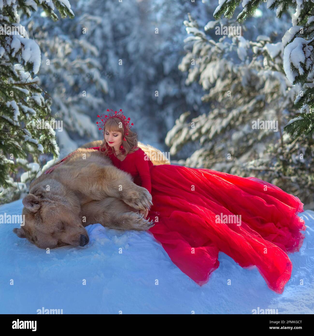 Stepan genießt einen Schlummer im Schnee. MOSKAU, RUSSLAND: TREFFEN SIE DEN echten Bären, der von seiner Mutter verlassen und von Menschen aufgezogen wurde, die jetzt eine blühende Karriere haben Stockfoto