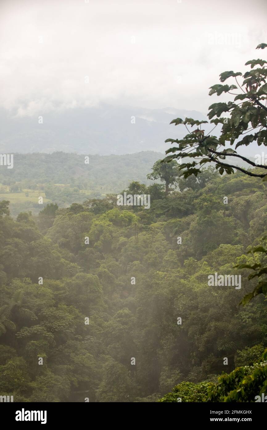 Arenal Vulkan und arenal Wolke Wald im Nebel in Arenal Region, Costa Rica Stockfoto