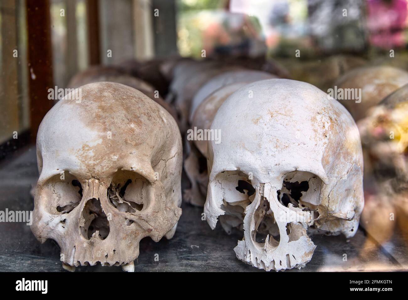 Häftlingsschädel im Choeung Ek Kriegsverbrechen Völkermord Museum, vom Khmer Rouge Regime als Sicherheitsgefängnis verwendet. Phnom Penh, Kambodscha Stockfoto
