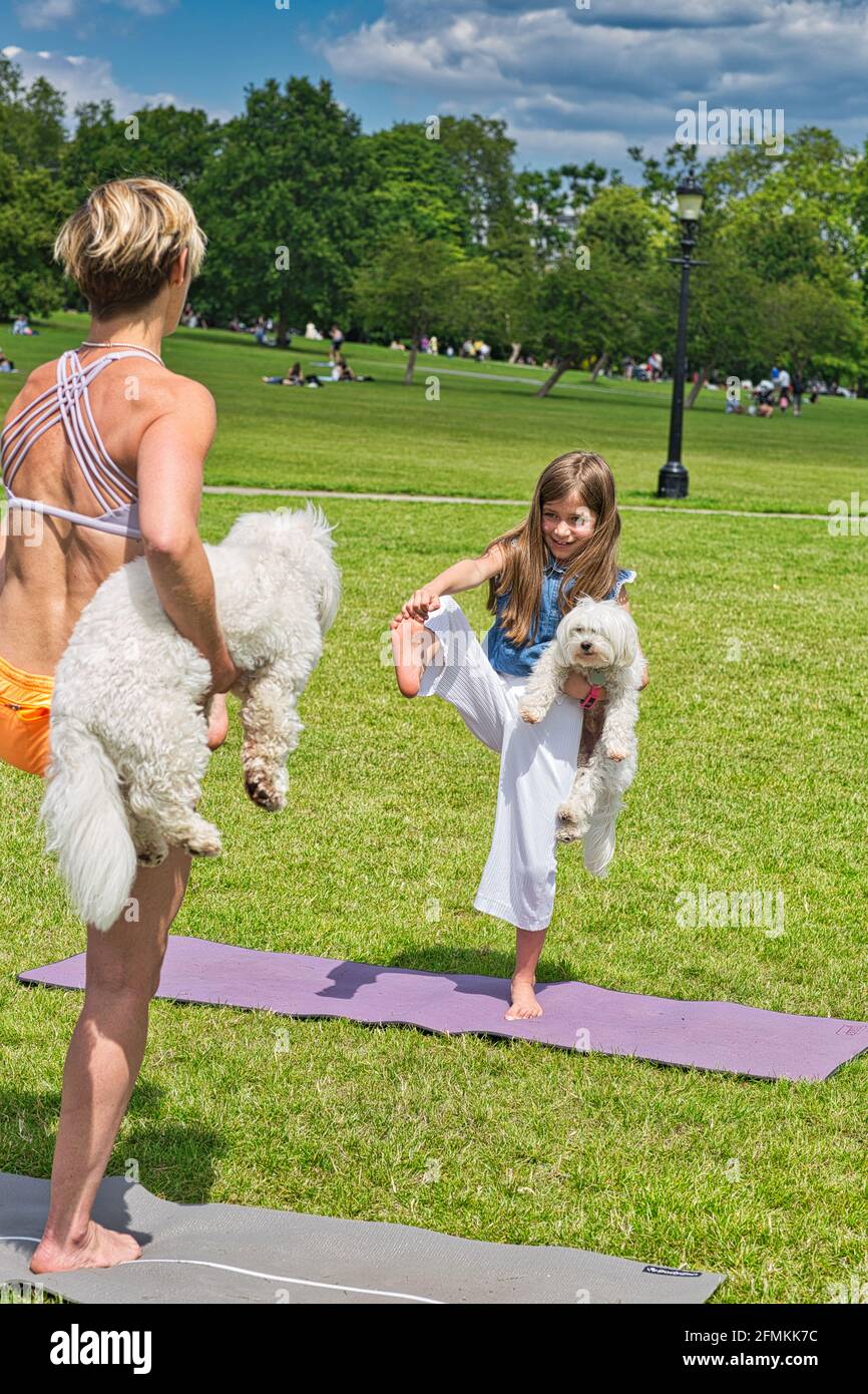 Mädchen mit Hund tut Yoga-Übungen in der Natur im Freien auf Grünes Gras auf der Fitnessmatte, Primerose Hill Park, London, Großbritannien Stockfoto