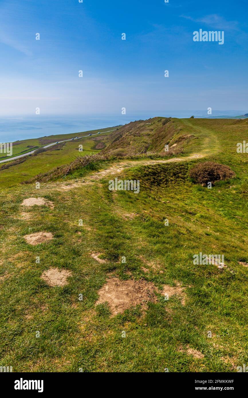 Blick Richtung Norden bis zur Jurassic Coast vom Abbotsbury Castle Iron Age Hill Fort in Dorset, England Stockfoto
