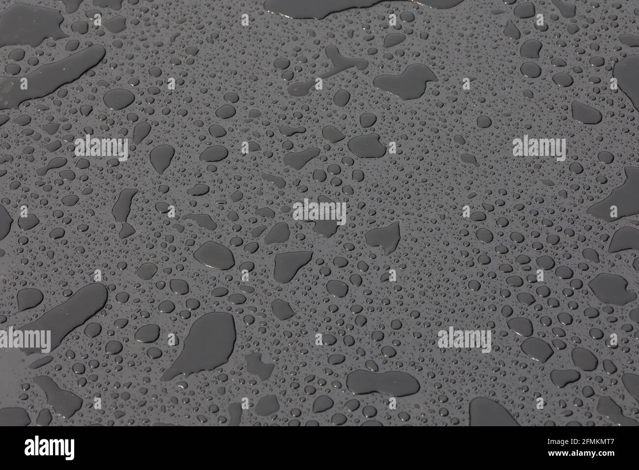 Schuss von Wassertropfen nach Regen Stockfoto