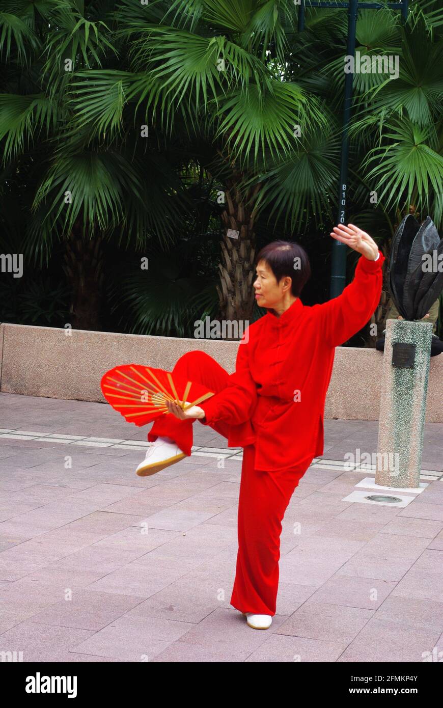 Tai Chi Performer, Kung Fu Corner, Kowloon Park, Hongkong, China, Asien Stockfoto