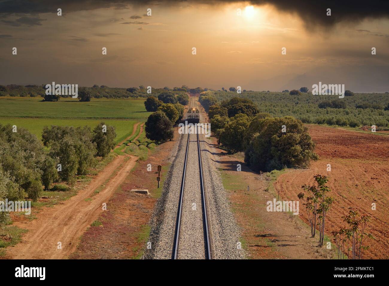 Blick auf einen Zug mit Scheinwerfer, der uns dazwischen entgegenkommt holm Eichen auf dem Land auf einem dramatischen Sonnenuntergang Stockfoto