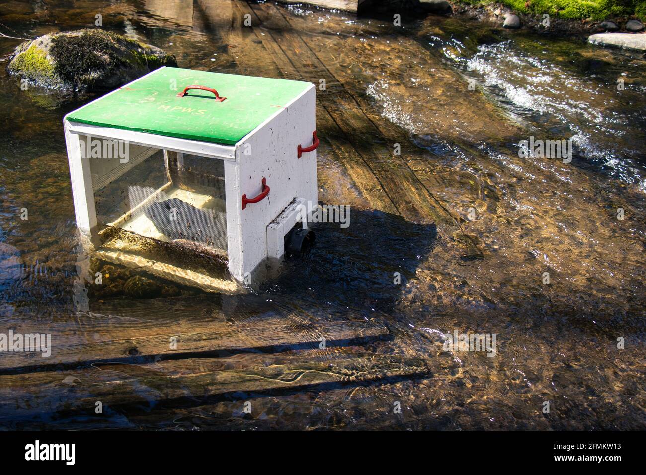 Ansicht von Millard-Piercy Wasserscheide Stewards Zählung Wehr, die verwendet wird Für die Zählung seaward migrierenden smolts auf Piercy Creek Stockfoto