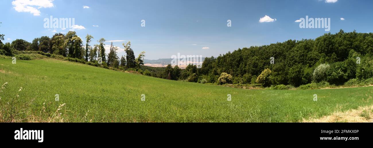 Panoramablick auf die toskanischen Hügel mit grünem Gras und Bäumen. Italien. Stockfoto