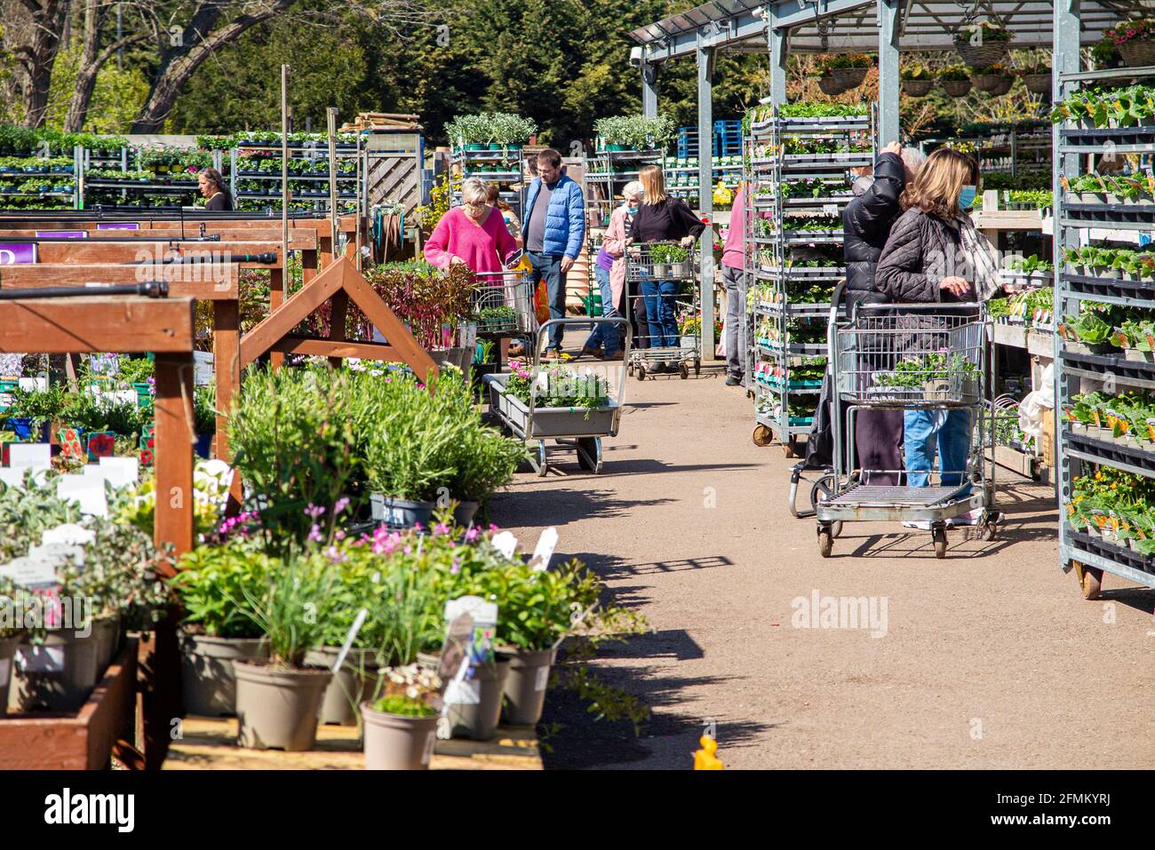 2021 und Gartencenter dürfen für Gärtner geöffnet werden In der Pandemie Stockfoto