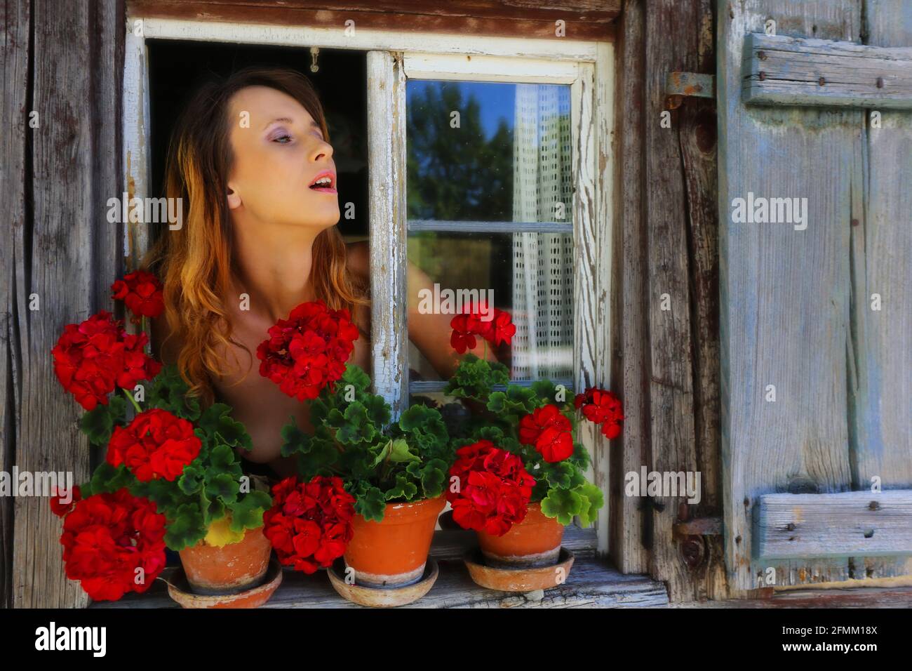 Nürnberg, Franken, Bayern, zaubernd schöne junge Frau blickt aus alten Holzfenstern mit Blumen am Fensterbrett Stockfoto