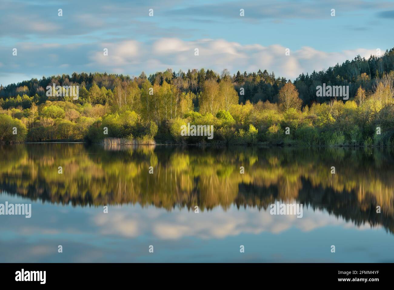 Blick auf den Frühling am Fluss Dubysa. Stockfoto