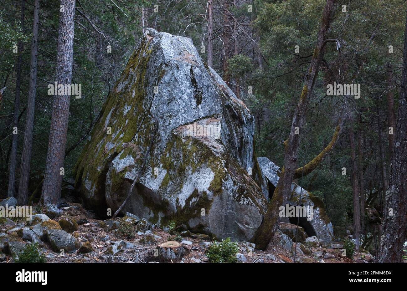 Riesiger Stein im Wald Stockfoto