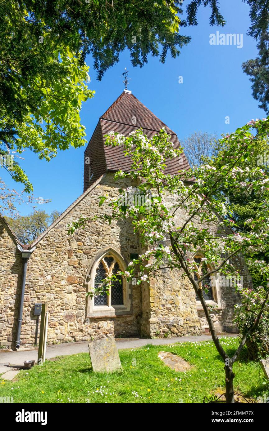 Church-in-the-Wood, St. Leonards Church, Hollington, Hastings, St. Leonards, East Sussex, Großbritannien Stockfoto