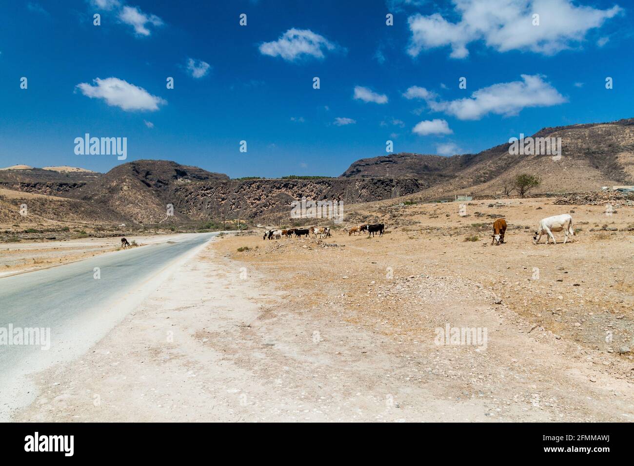 Klippen am Wadi Dharbat in der Nähe von Salalah während der Trockenzeit, Oman. Stockfoto