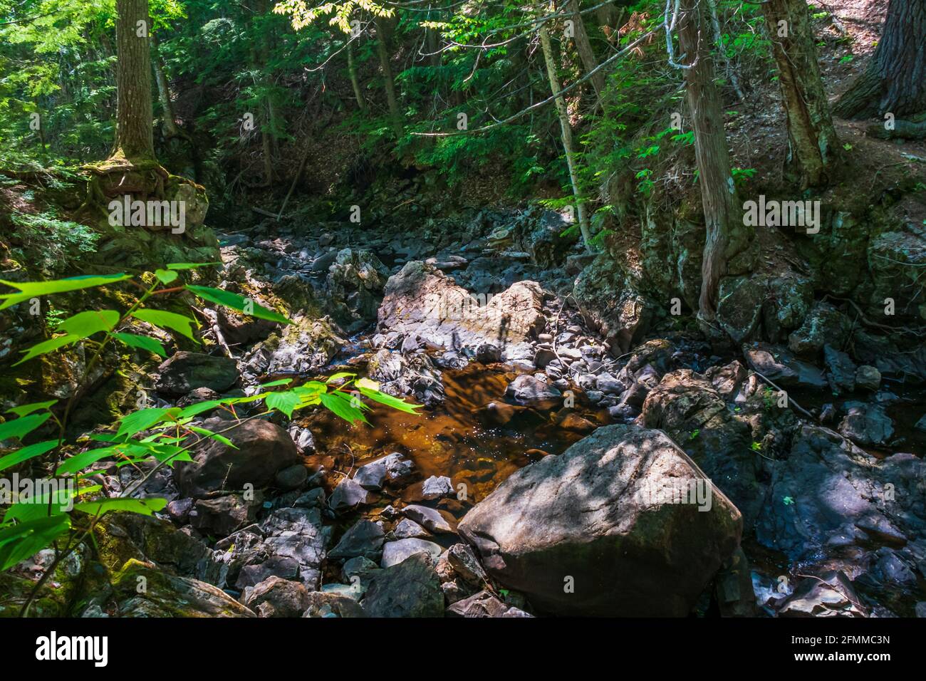 Minnehaha Falls Sault Saint Marie Ontario Kanada im Sommer Stockfoto