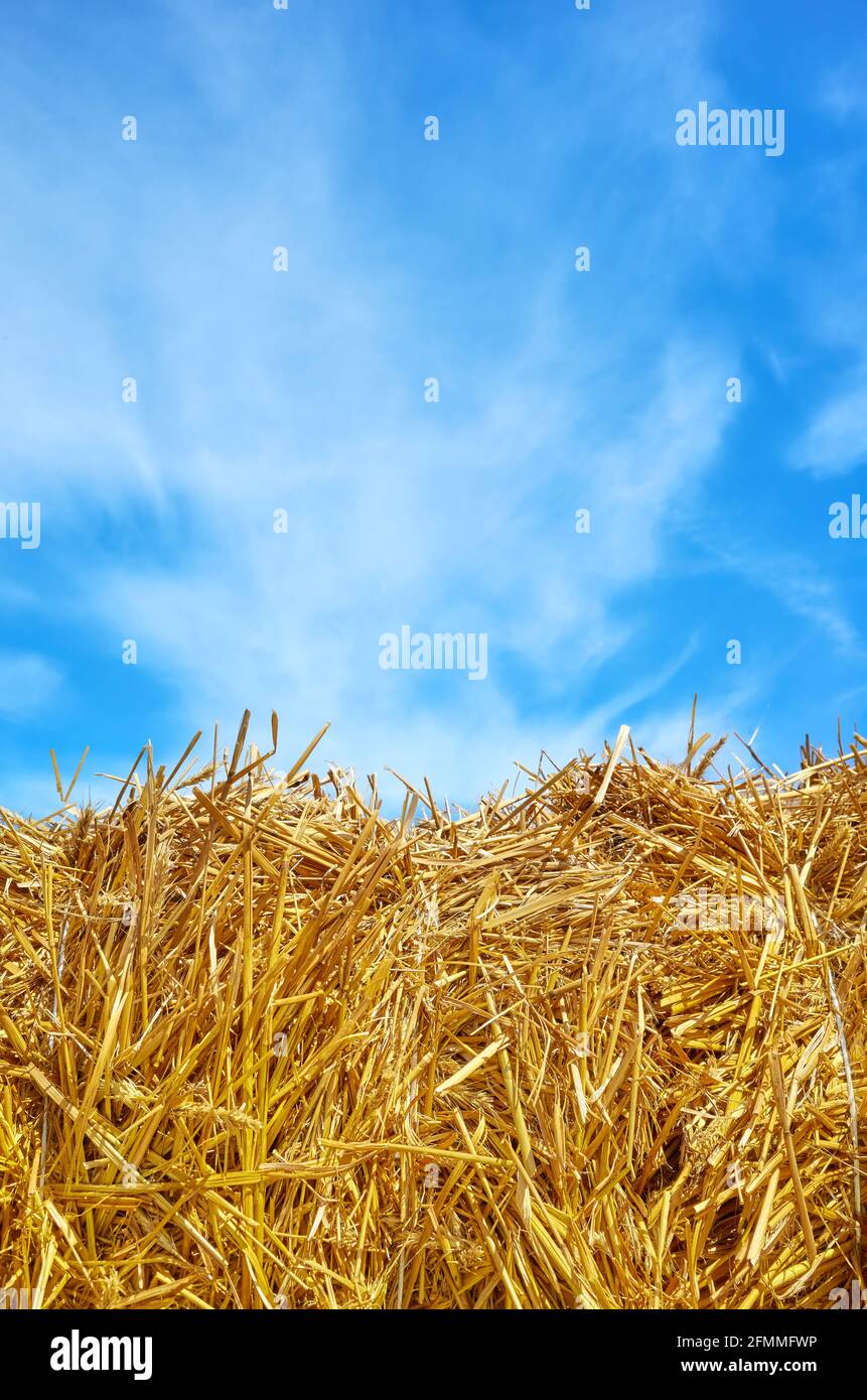 Heuhaufen am blauen Himmel an einem sonnigen Tag. Stockfoto