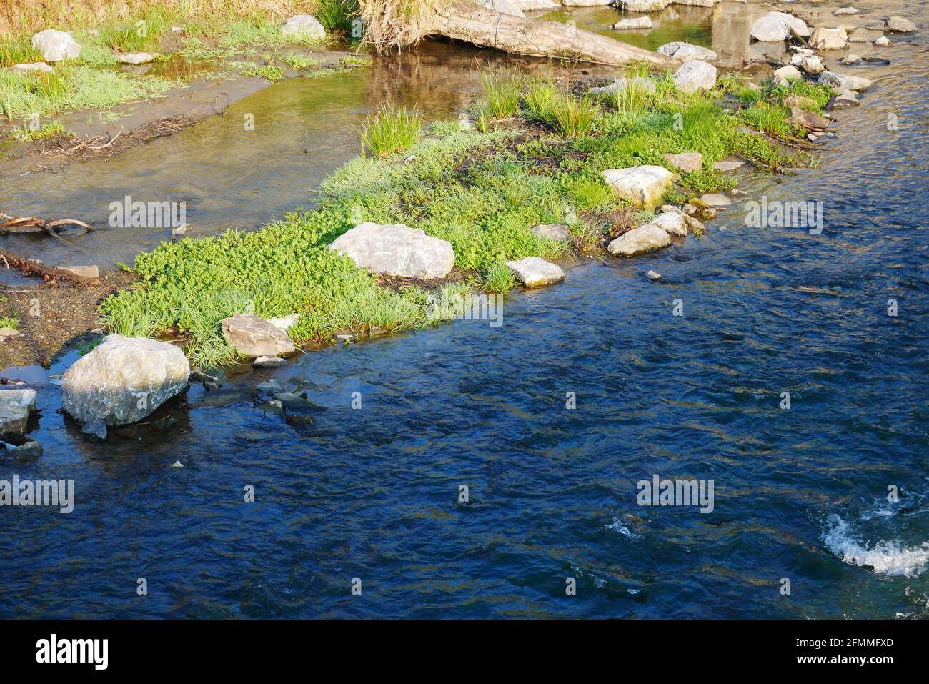 Grüne Insel mit großen hellen Steinen in der Mitte von Ein blau-grün schimmernder Fluss im Sonnenlicht und Schatten Stockfoto