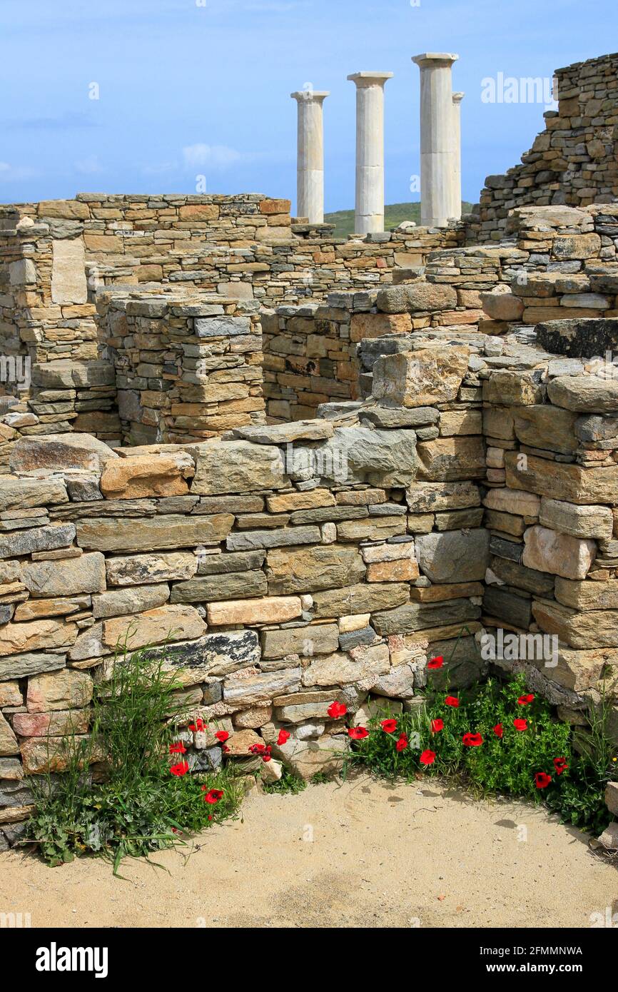 Säulen und Steinruinen auf der Insel Delos mit Wildblumen, Kykladen-Archipel, Griechenland Stockfoto