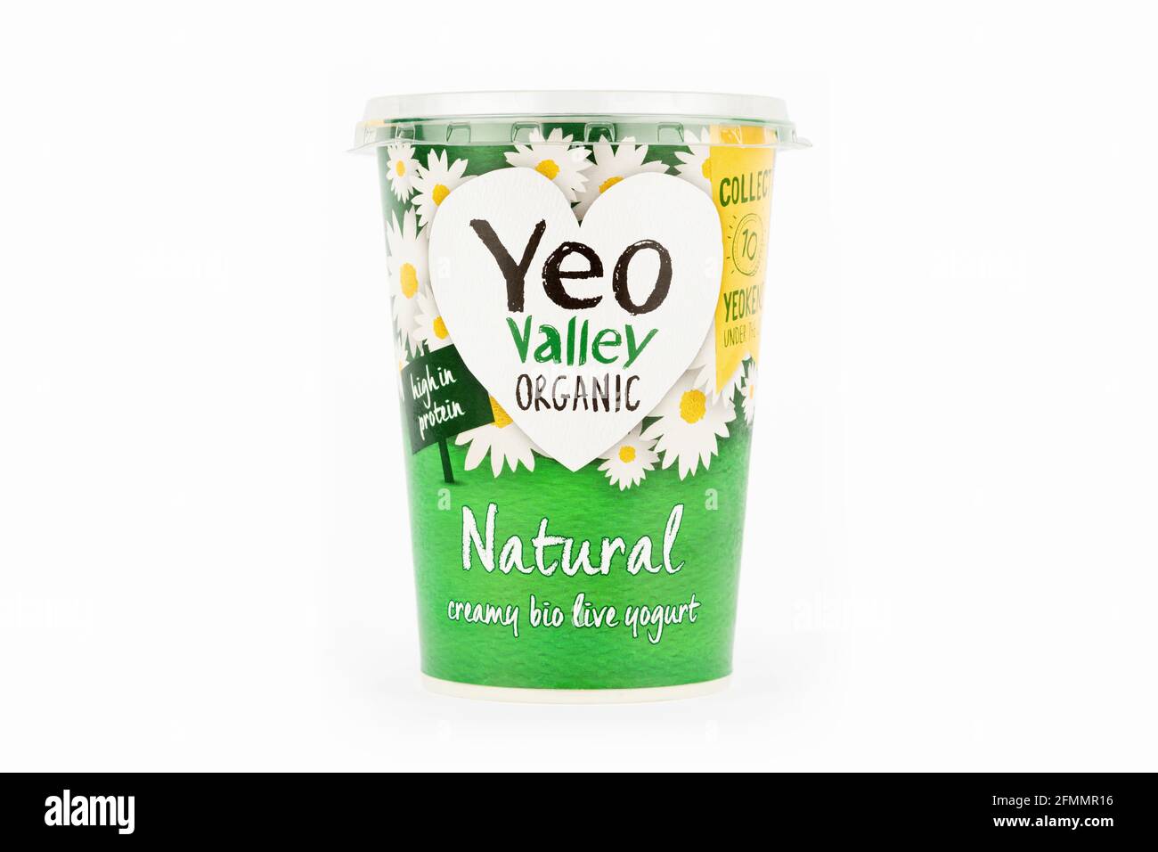 Eine Wanne mit natürlichem Bio-Joghurt aus dem Yeo Valley auf weißem Hintergrund. Stockfoto