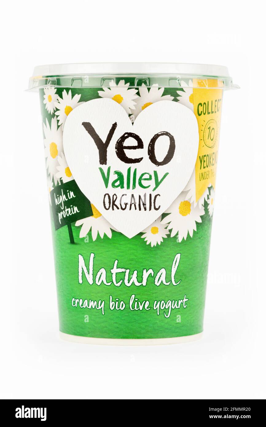 Eine Wanne mit natürlichem Bio-Joghurt aus dem Yeo Valley auf weißem Hintergrund. Stockfoto