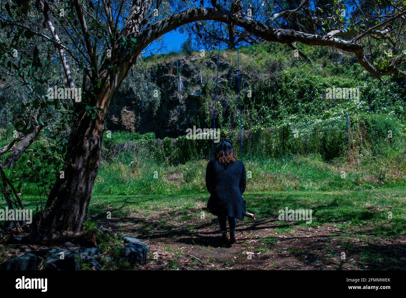 Baum schwingt in einem Melbourne Park Stockfoto