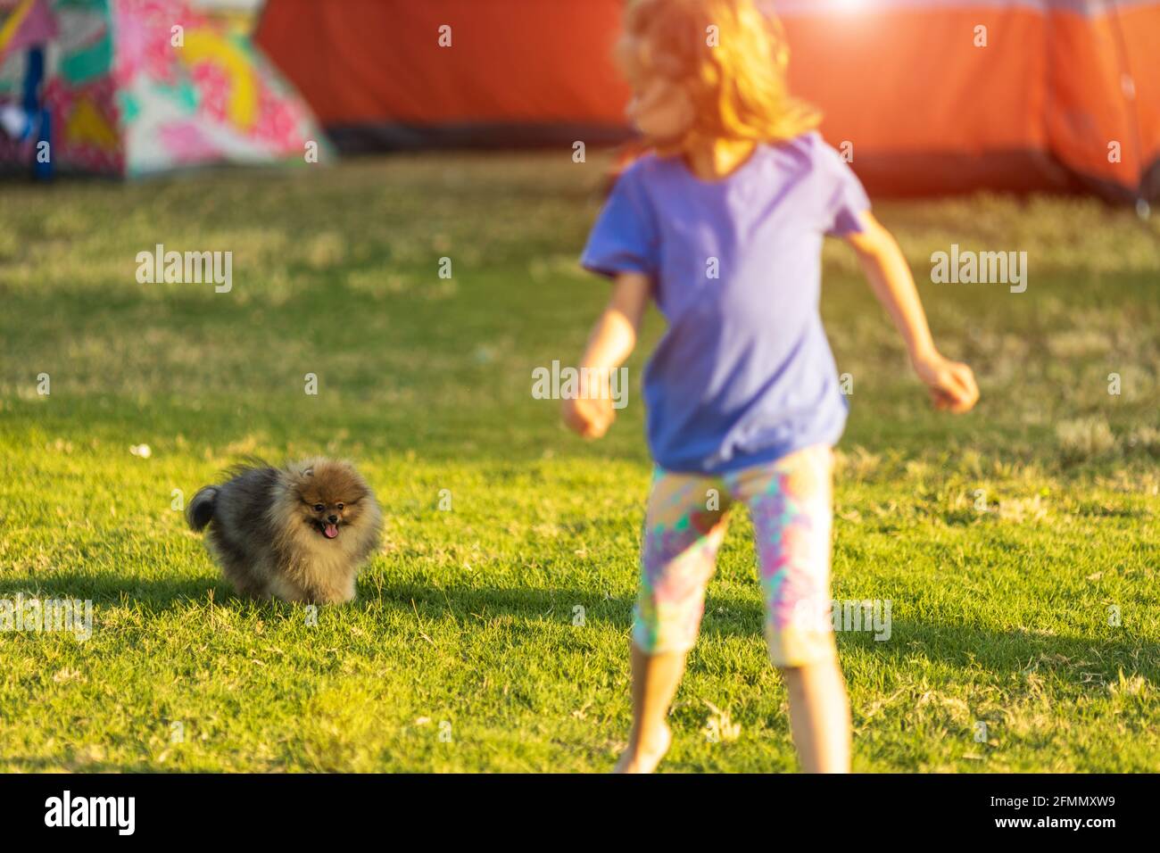 Kinder spielen mit niedlichen kleinen Welpen. Kinder und kleine Hunde spielen im sonnigen Sommergarten Stockfoto