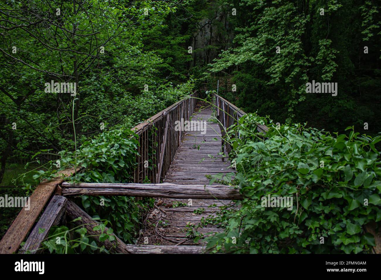 Beängstigende Holzbrücke Stockfoto