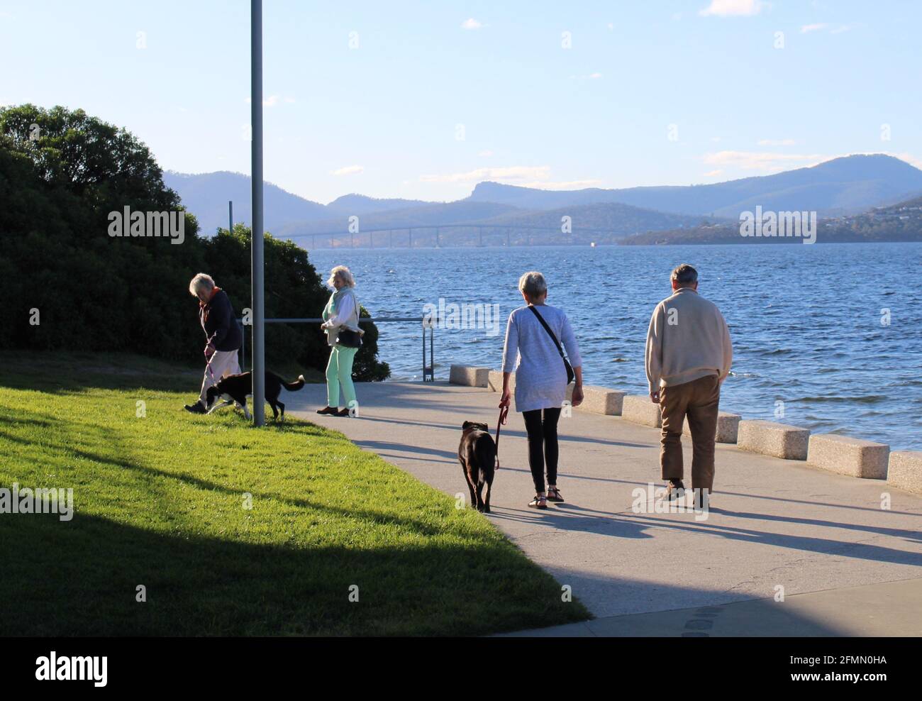 Seniorenleben, Alltag in Australien, Spaziergänger mit Hunden in Sandy Bay, Hobart, Tasmanien. Stockfoto