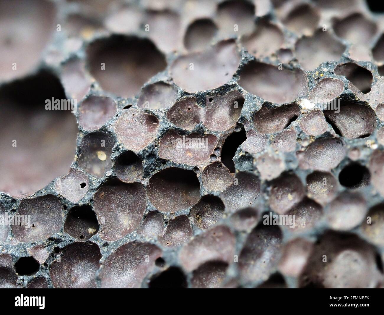 Poröser Basalt-Vulkangestein, der am Strand in Victoria, Australien, aufgeschwemmt wurde Stockfoto