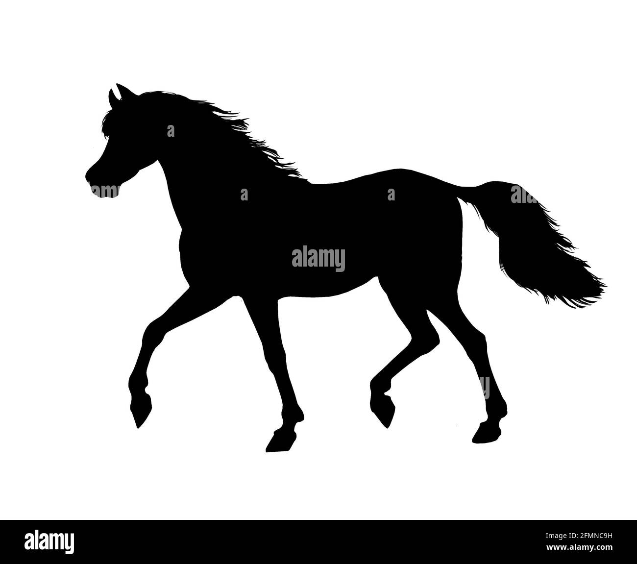 Schönes arabisches Pferd. Digitales Porträt eines Pferdes. Pferdezeichnung. Stockfoto