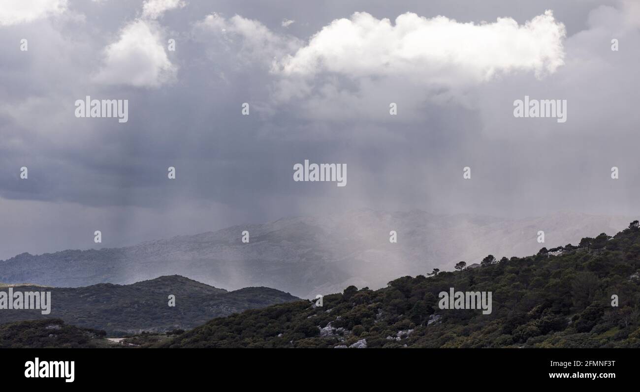 Sierra de las Nieves, Provinz Malaga, Spanien. Stockfoto