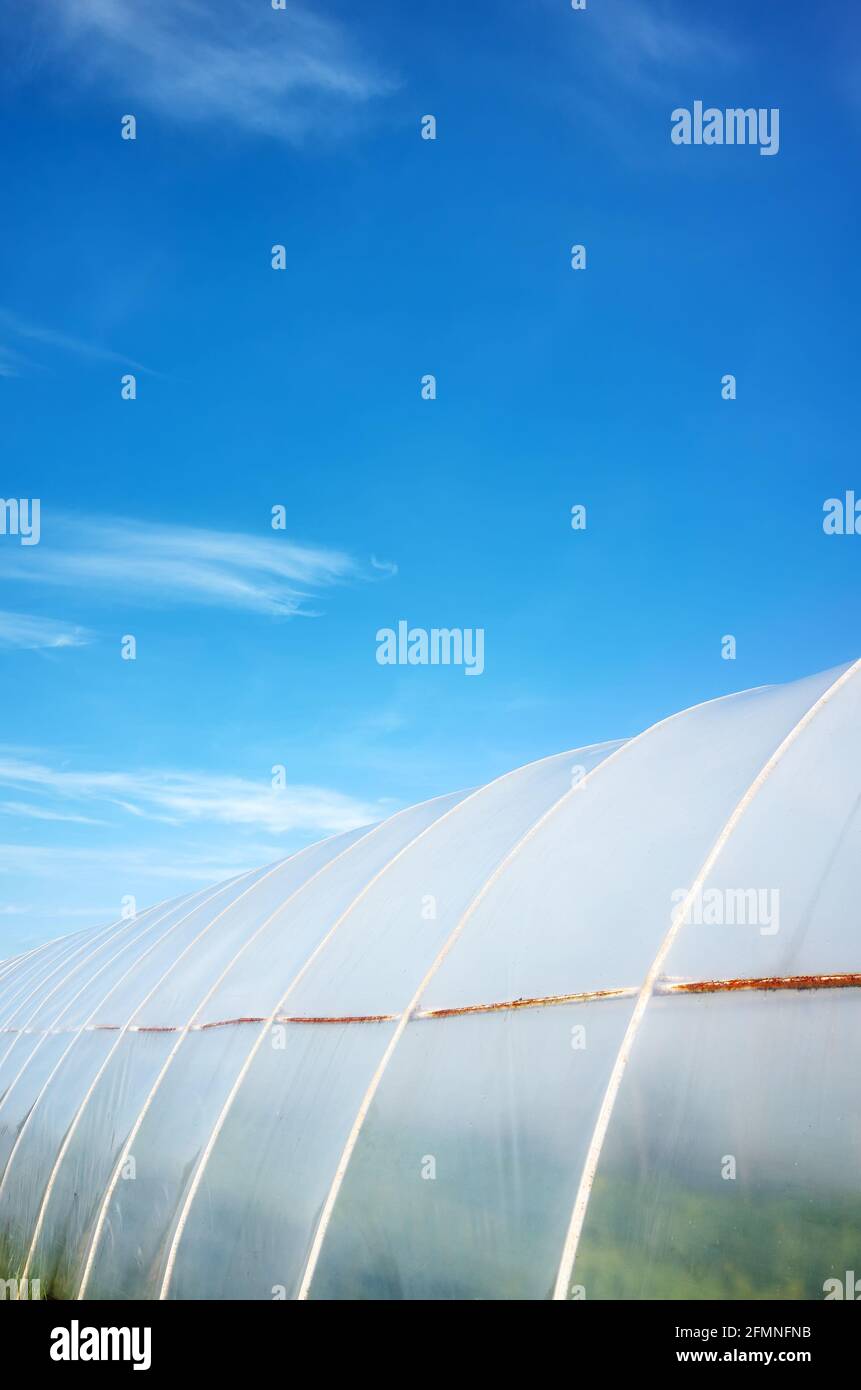 Polytunnel außen gegen den blauen Himmel. Stockfoto