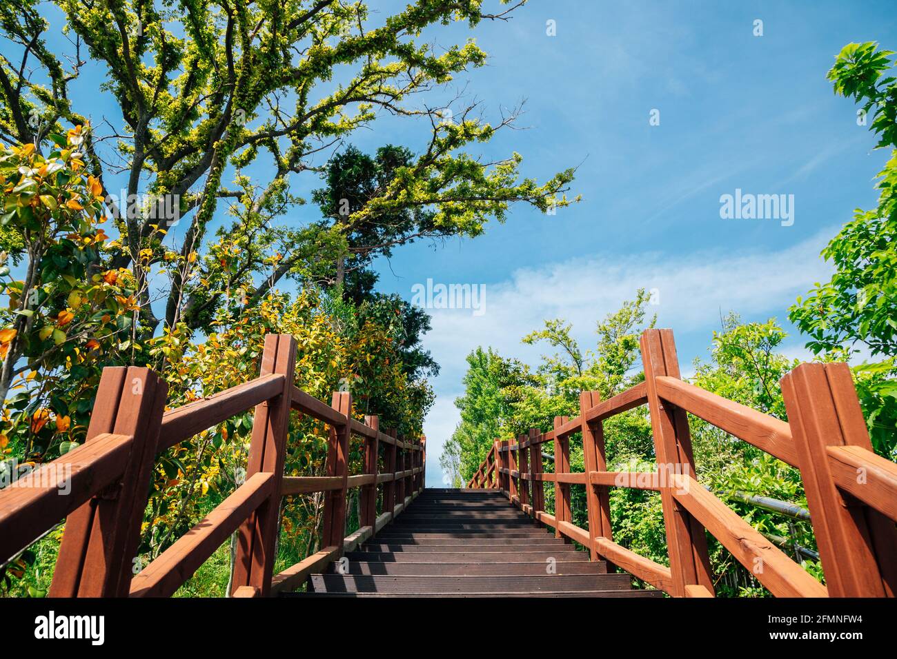 Treppe mit grünen Bäumen im Jasan Park in Yeosu, Korea Stockfoto