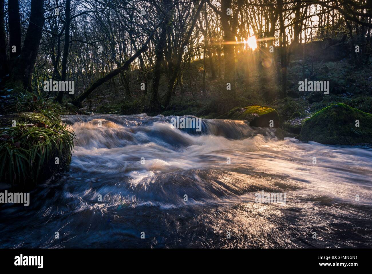 Am späten Nachmittag Sonnenlicht während der Fluss Fowey fließt entlang Golitha Falls in der historischen und alten Wald Draynes Wood in Cornwall. Stockfoto