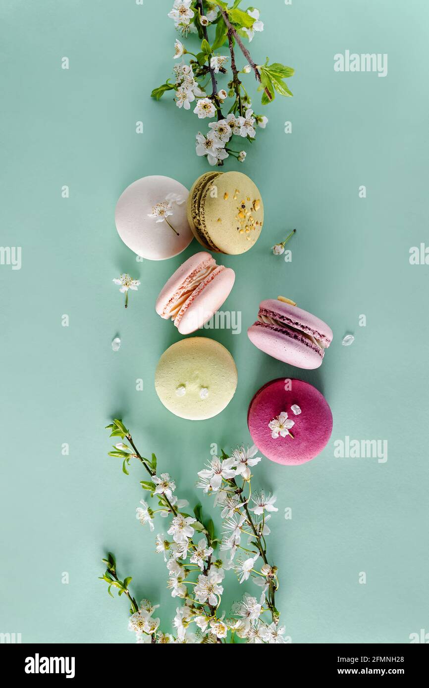 Französische Dessert-Macarons und Frühlingsbaumblüten Stockfoto