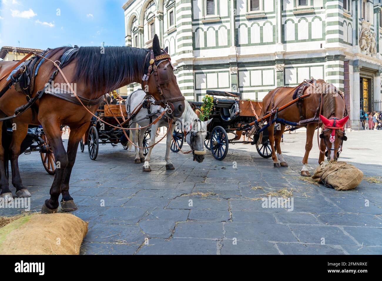 FLORENZ, ITALIEN - 24. Aug 2020: Florenz, Toscana/Italien - 24.08.2020: Drei hackney-Wagen, in Warteposition, mit Pferden, die teilweise straig fressen Stockfoto