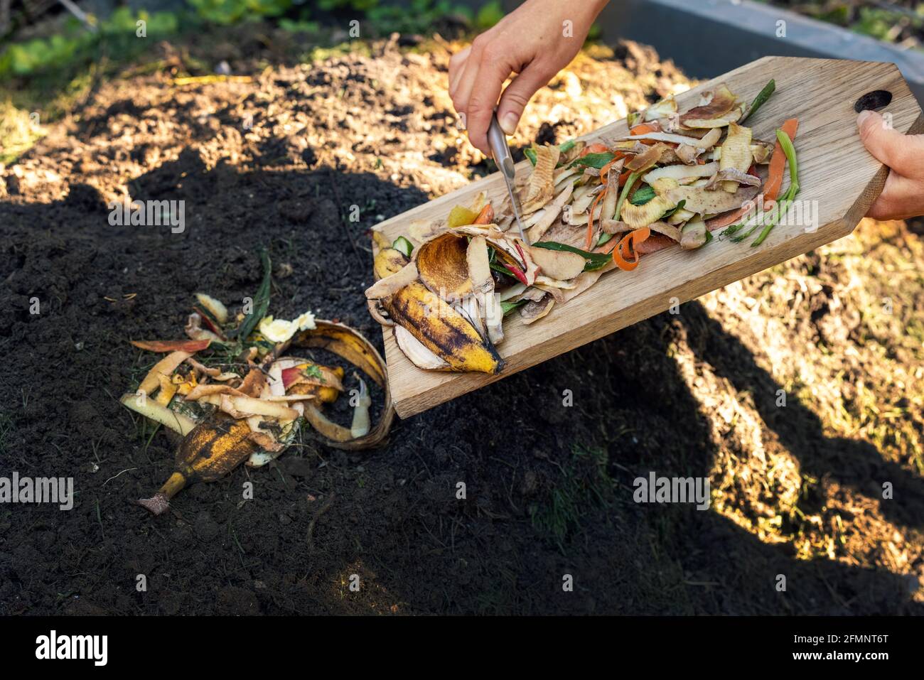 Werfen von Essensresten in Gartenkompost Haufen. Recycling von organischen Küchenabfällen Stockfoto