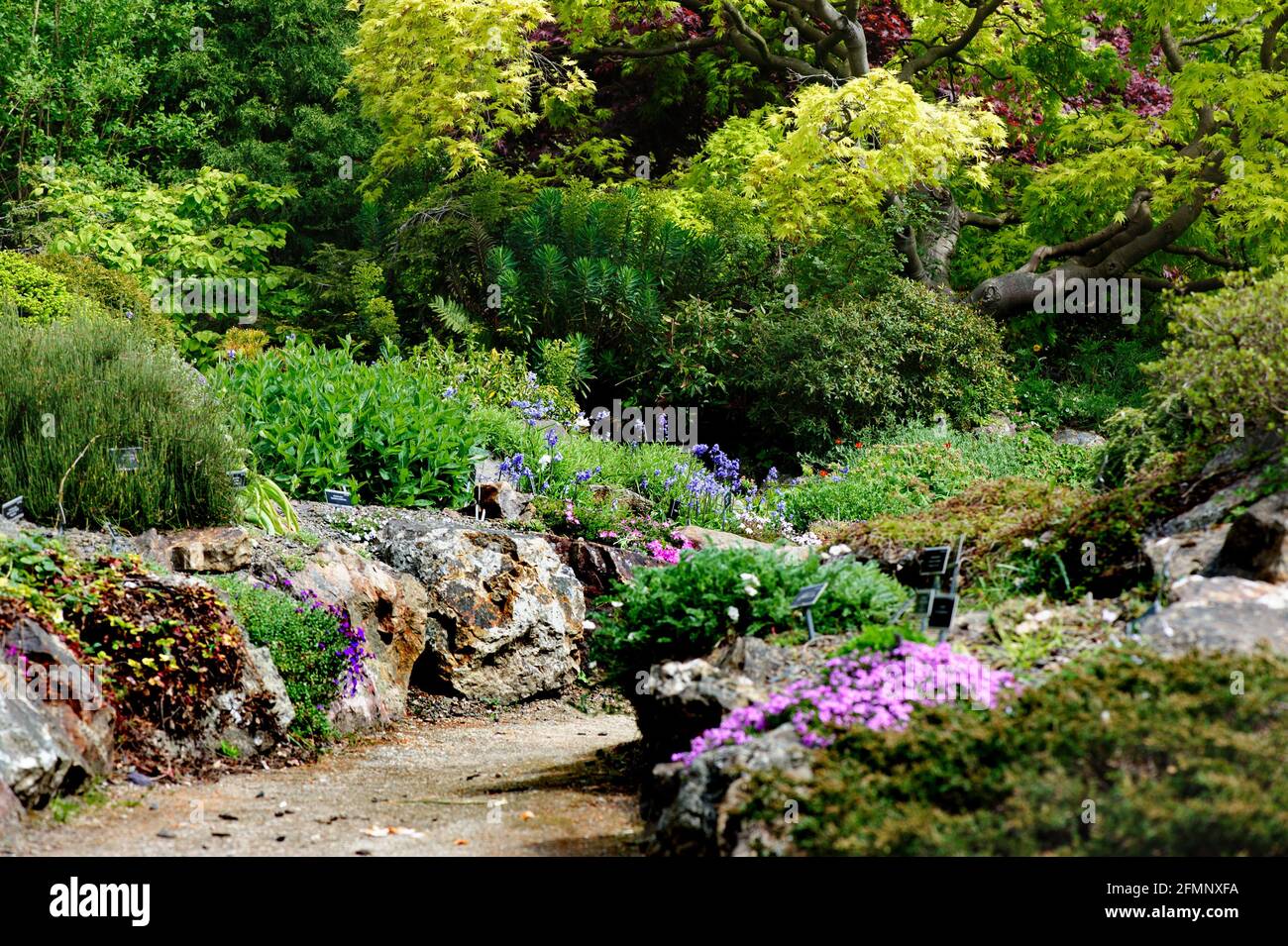 Dublin, Irland, 02. Mai 2021. Blick auf den Fußweg im National Botanic Garden in Dublin, Irland Stockfoto