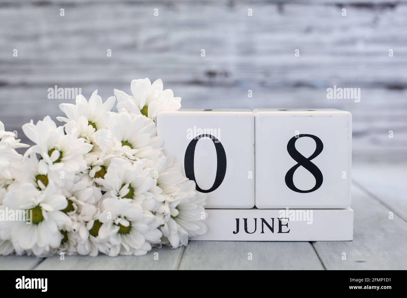 Weiße Holz-Kalenderblöcke mit dem Datum 8. Juni und weißen Gänseblümchen. Selektiver Fokus mit unscharfem Hintergrund. Stockfoto