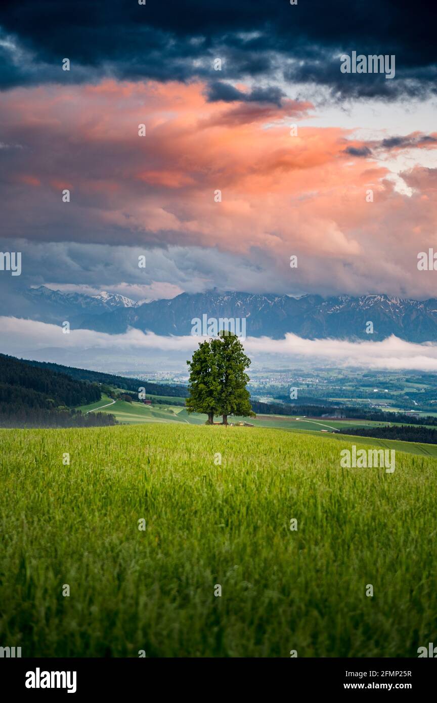 Wolkige Himmel bei Sonnenuntergang im Emmental nach einem Regensturm Stockfoto