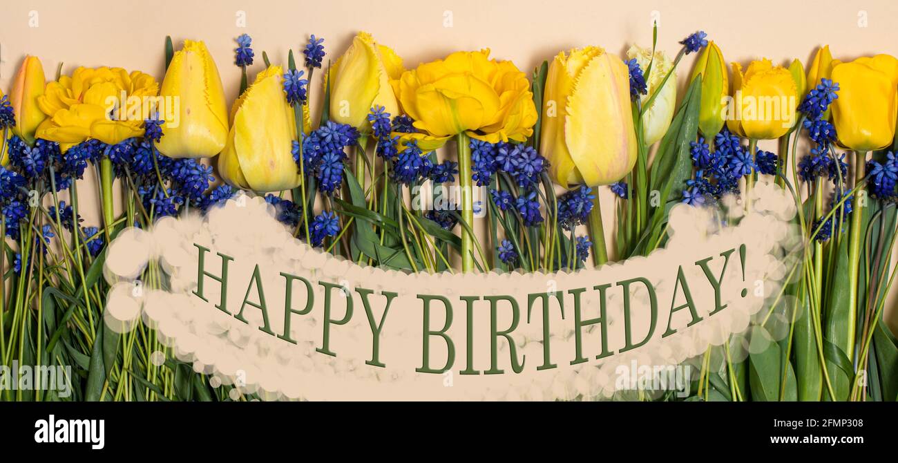 Schöne lange Geburtstagsgruß Banner inmitten gelbe Tulpen Blumen Stockfoto