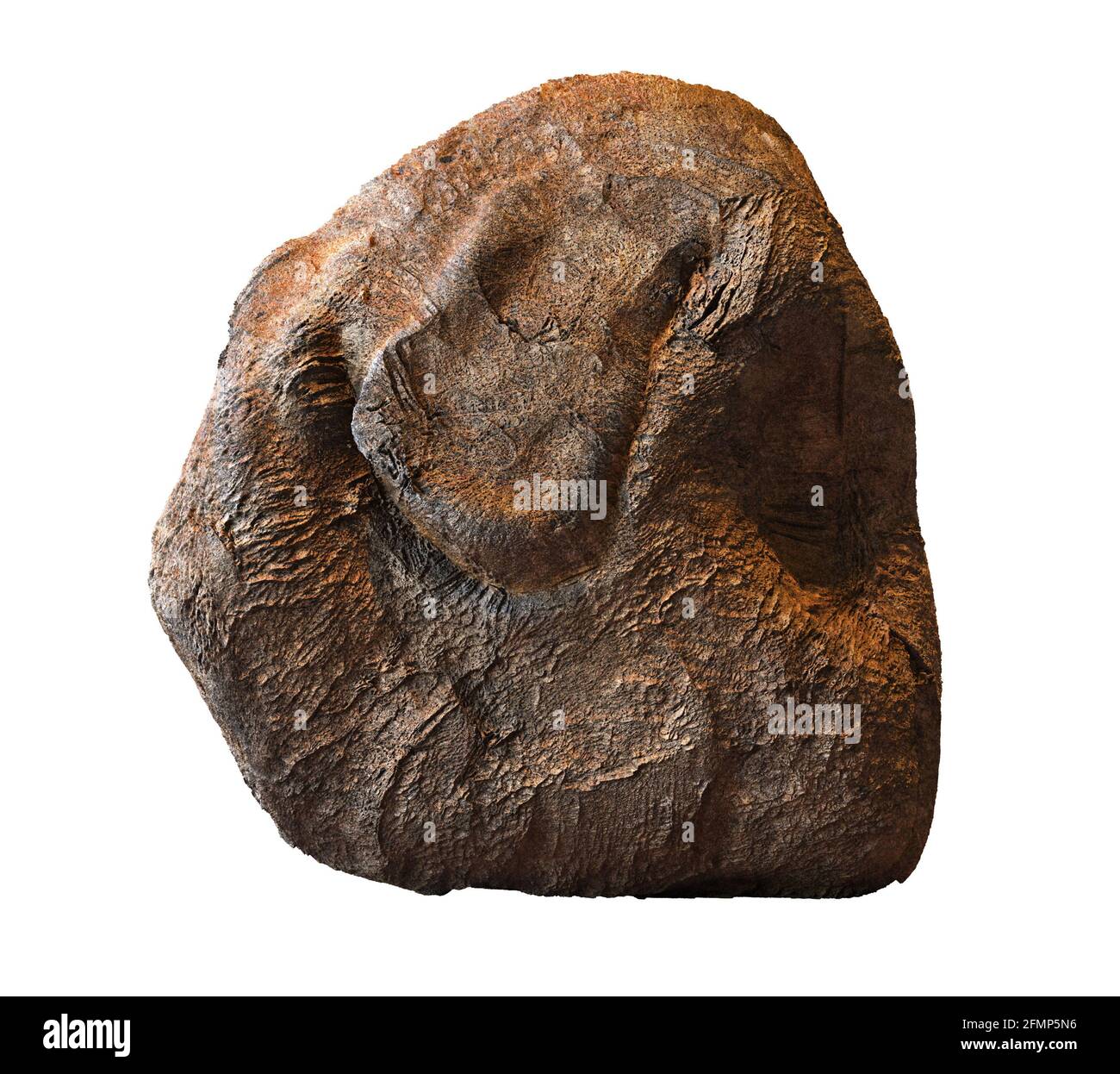 Glatter brauner Felsen isoliert auf weißem Hintergrund Stockfoto