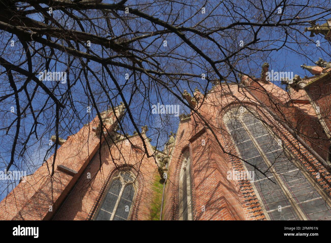 Wasserspeier auf der Kirche Stockfoto